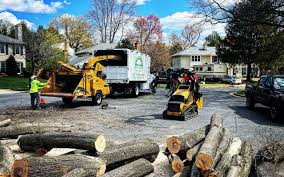 Best Artificial Turf Installation  in Hiller, PA