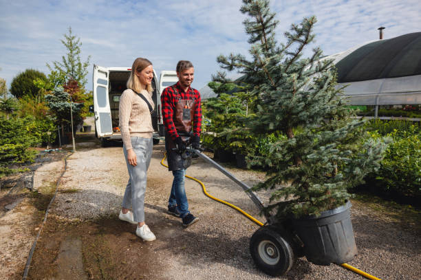 Best Lawn Drainage Solutions  in Hiller, PA