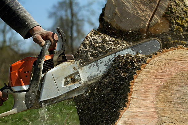 Lawn Renovation and Restoration in Hiller, PA
